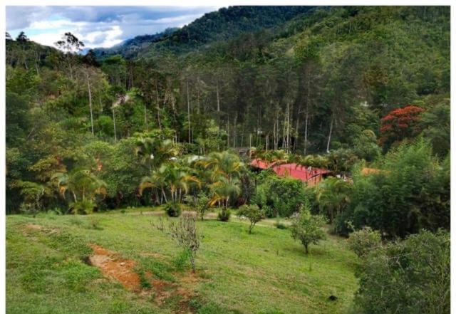 Holiday home Navarro Mountain Cartago