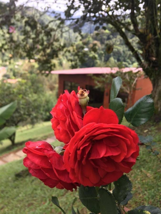 Holiday home Navarro Mountain